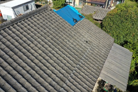 郡上市　棟に草