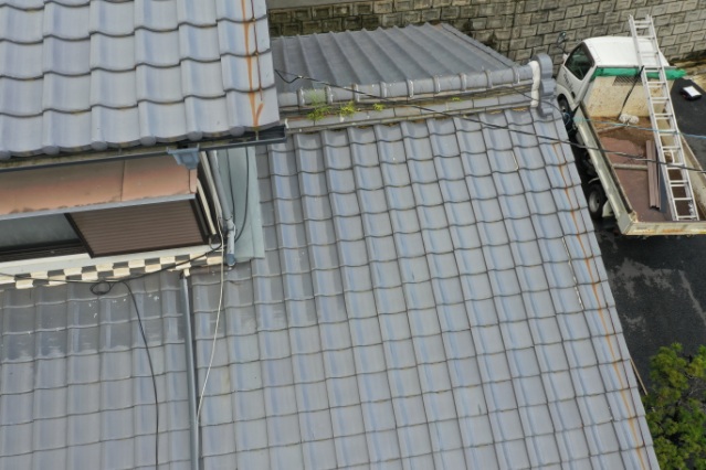 多治見市京町　棟に草