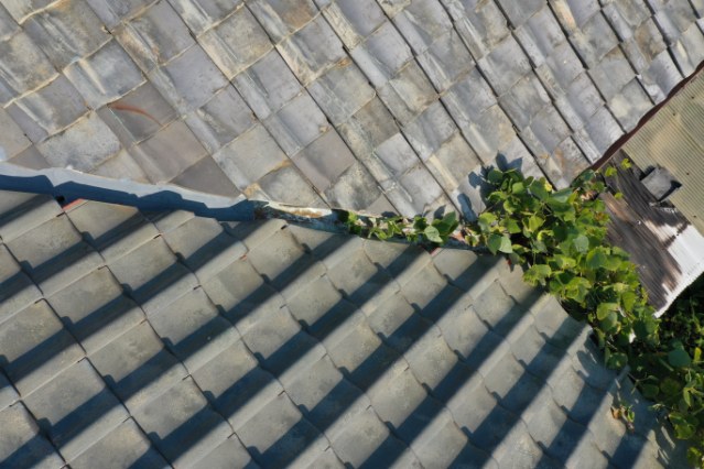 尾張旭北山町　屋根に草