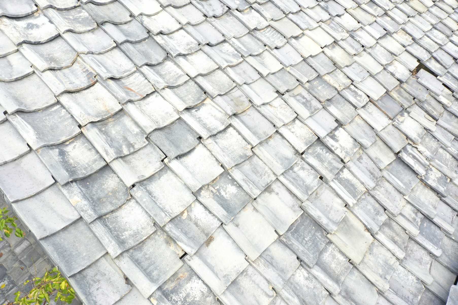 瓦のズレの写真