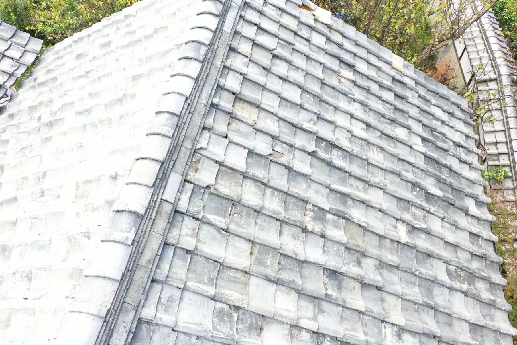 上から見た屋根