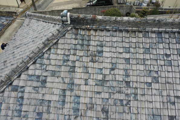 上から見た屋根の写真