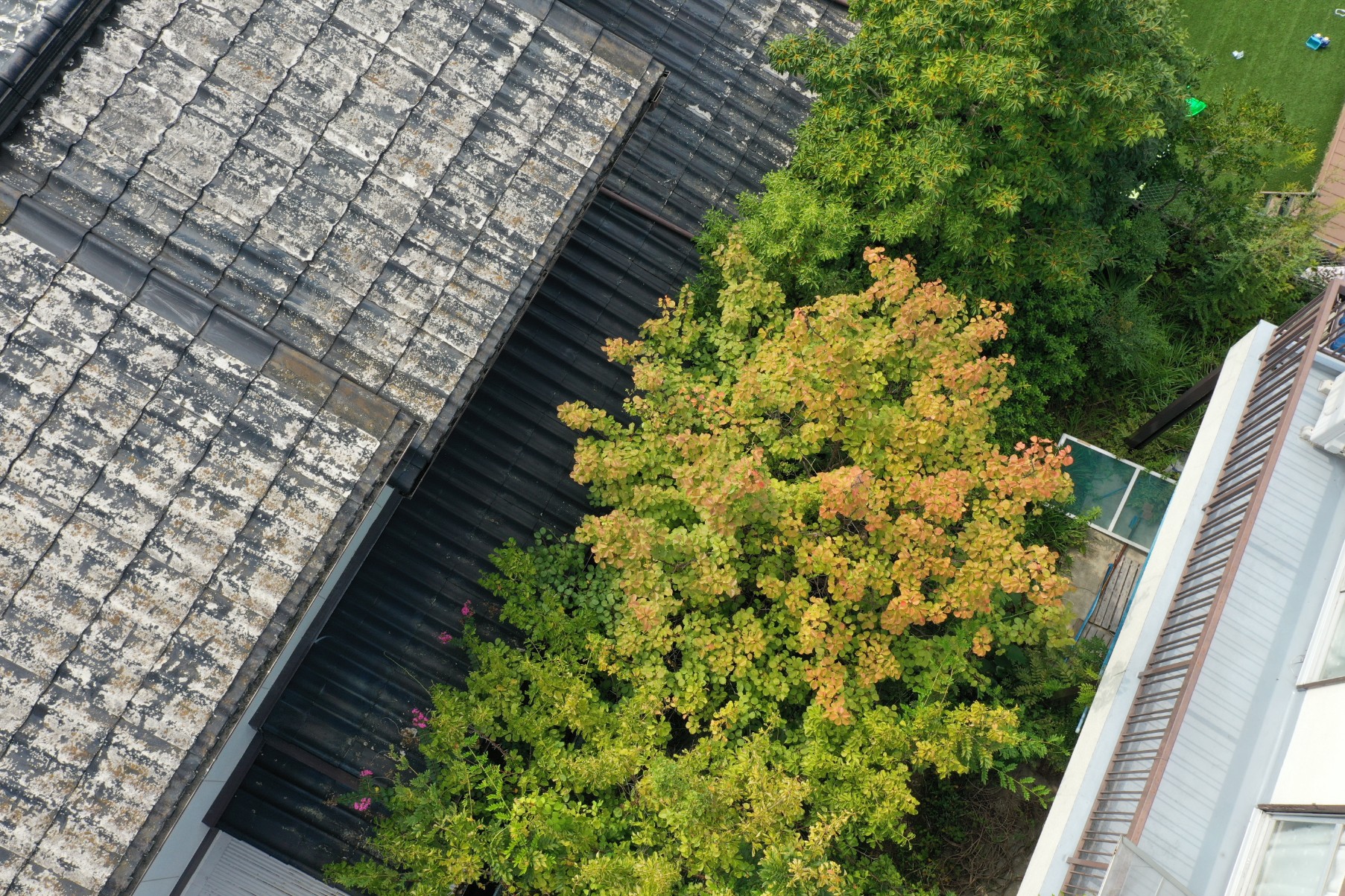 セキスイかわらU