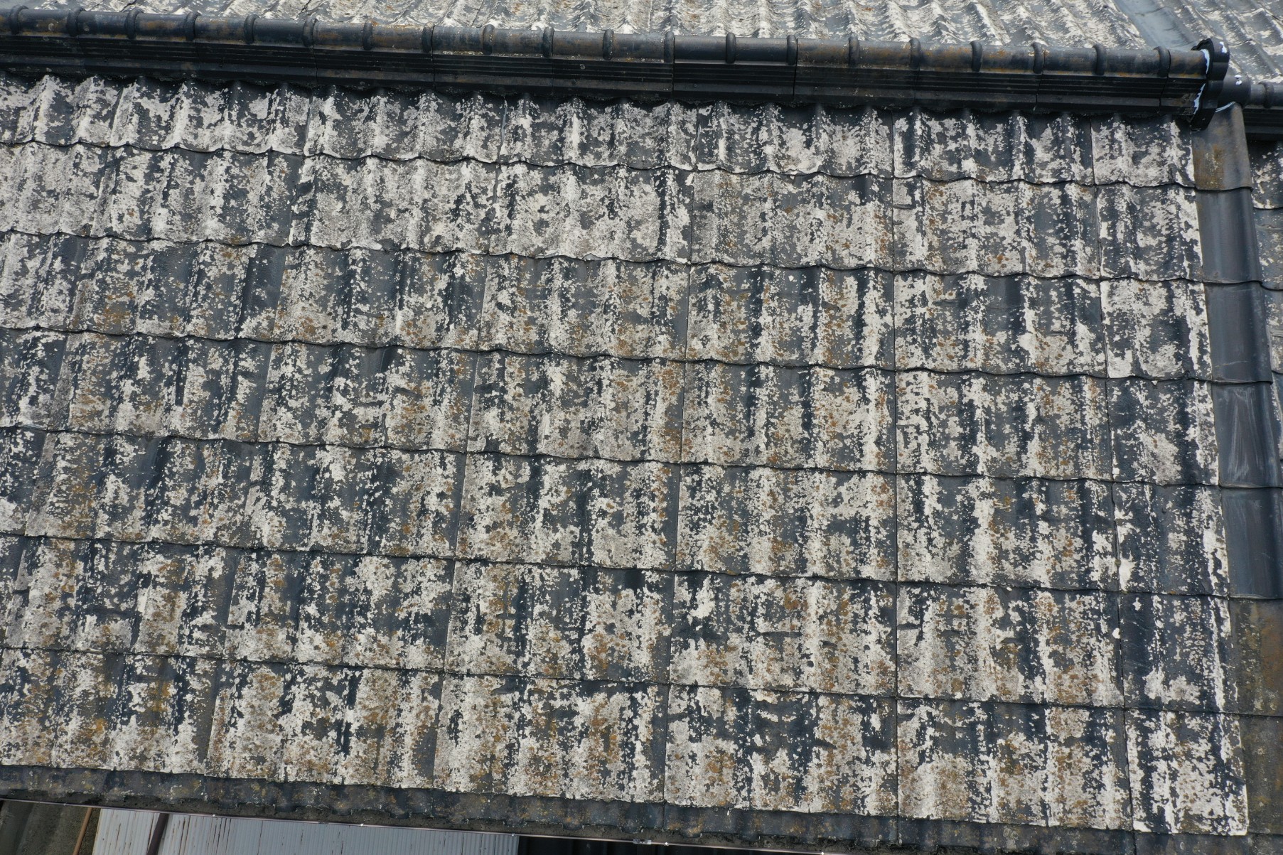 セキスイかわらU