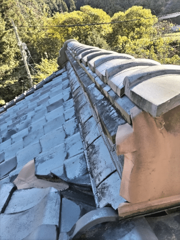 瑞浪市　瓦ずれ