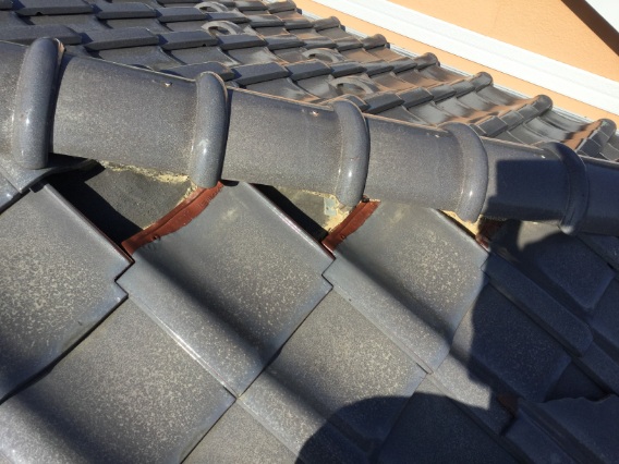 多治見市　瓦ずれ