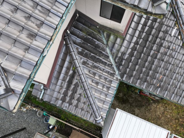 多治見市　屋根に苔