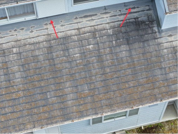 美濃加茂市　瓦のヒビ