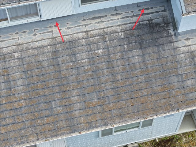 多治見市希望ヶ丘　瓦のひび