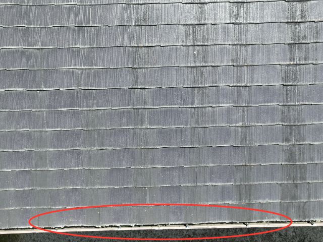 可児市　軒先に苔