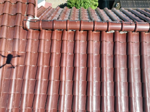 愛知県東郷町　漆喰はがれ