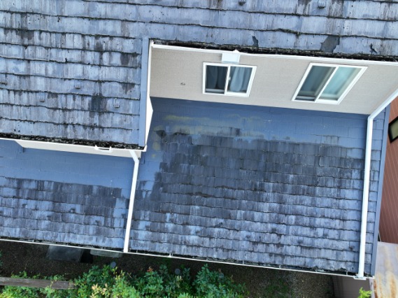 美濃加茂市　瓦の劣化