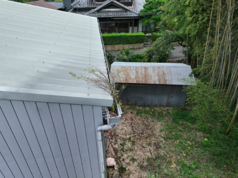 多治見市大原町　雨樋に草