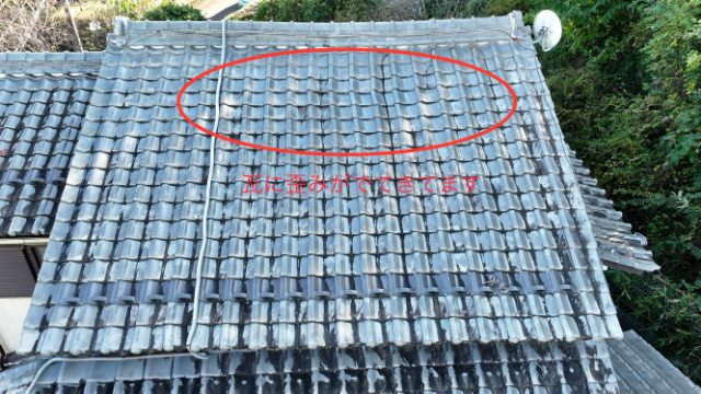 可児市　瓦のずれ