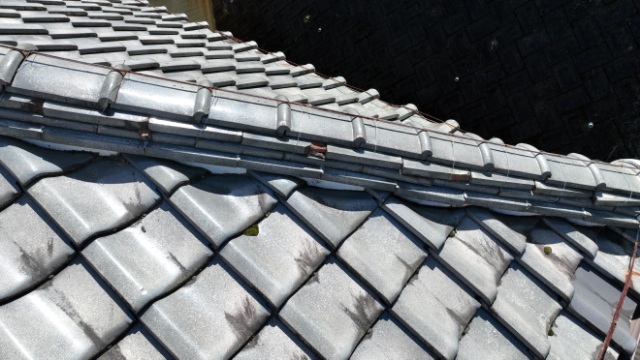 多治見市京町　瓦に苔