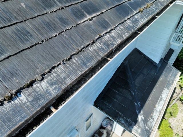 可児市皐ケ丘　瓦に苔