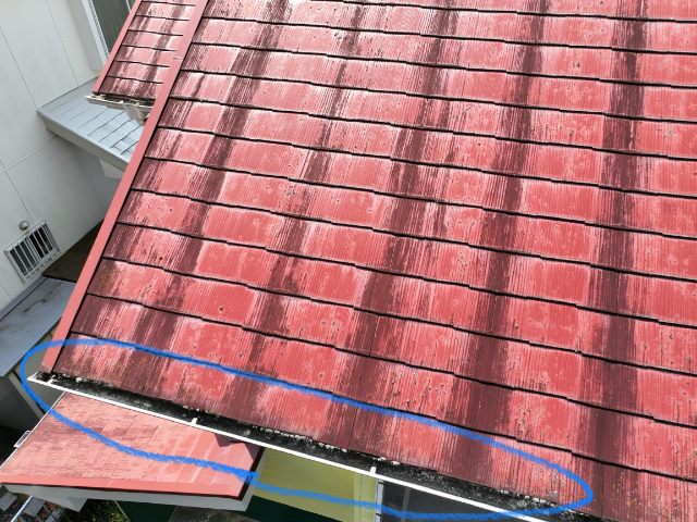 多治見市脇之島町　軒先に苔