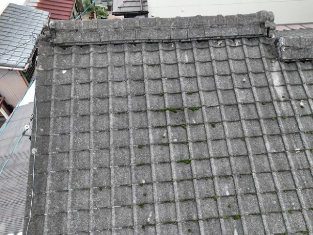 多治見市生田町　屋根に苔