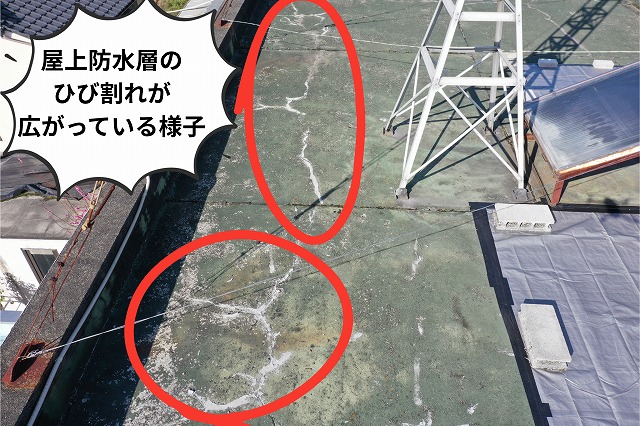 屋上防水層のひび割れ（クラック）が広がっている様子