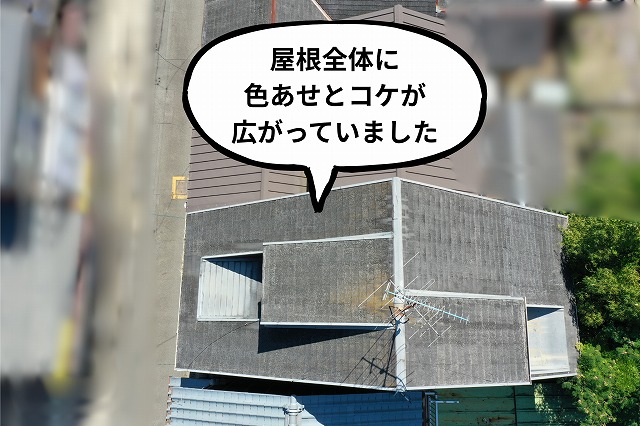 色あせやコケ、黒ずみが広がっている様子