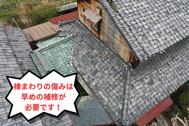棟まわりの瓦に浮きやズレが見られる古い瓦屋根
