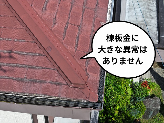 棟板金まわりを撮影した写真