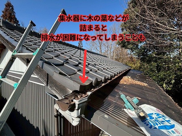 瀬戸市にて集水器に落葉が詰まっている様子