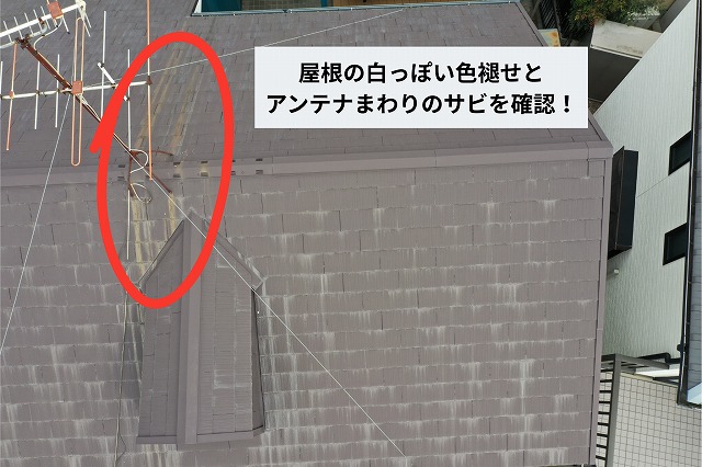 色あせとアンテナまわりのサビが確認できる様子