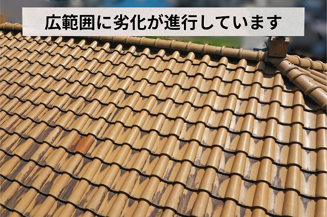 瓦屋根全体に広がる色あせの様子