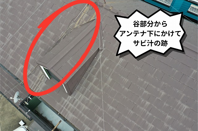谷部分からアンテナ下にかけてサビ汁の跡の様子