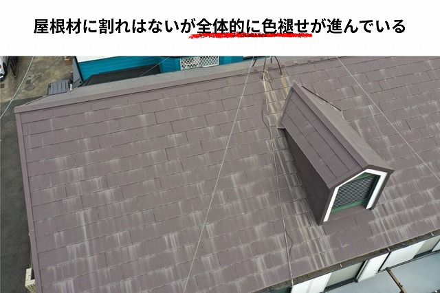 全体に色あせが進んでいる様子