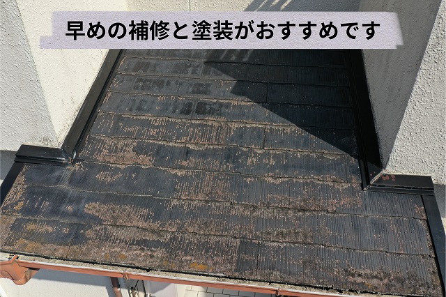 下屋根部分の劣化状況を近くから確認した写真
