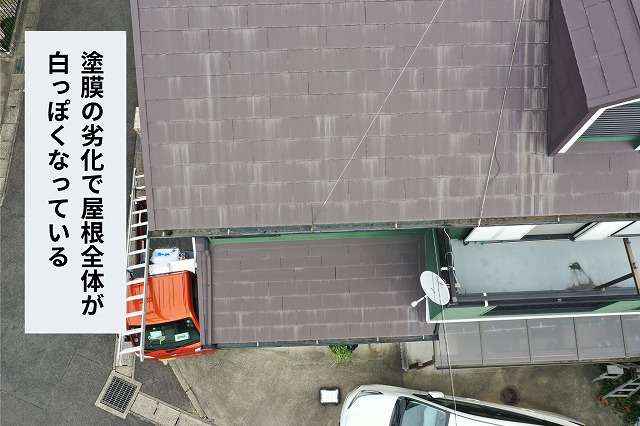 塗膜の劣化で屋根全体が白っぽくなっている様子