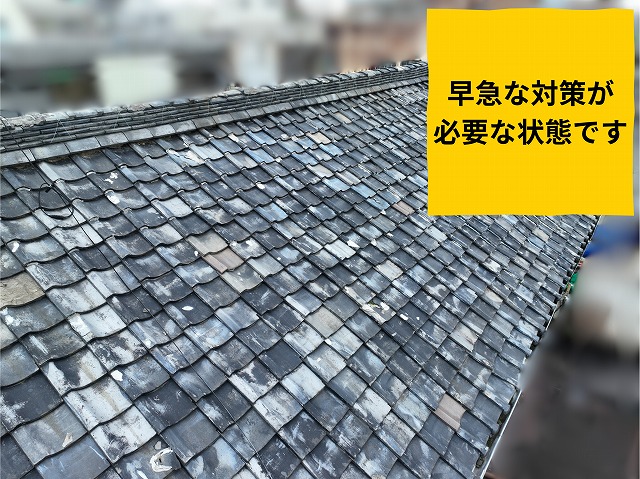 可児市兼山の住宅における瓦屋根の全体的な劣化状態を斜めから確認した様子