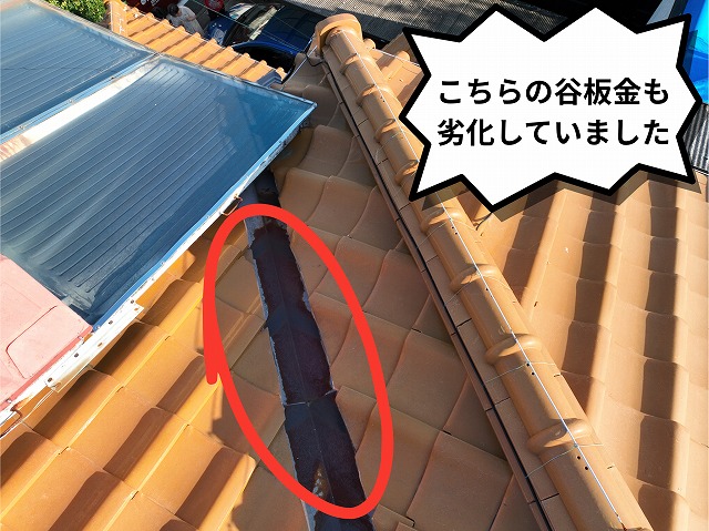 黒ずみとサビが確認できる様子