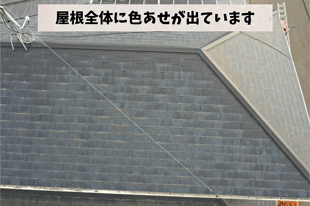 スレート屋根全体が色あせて白っぽくなっている様子
