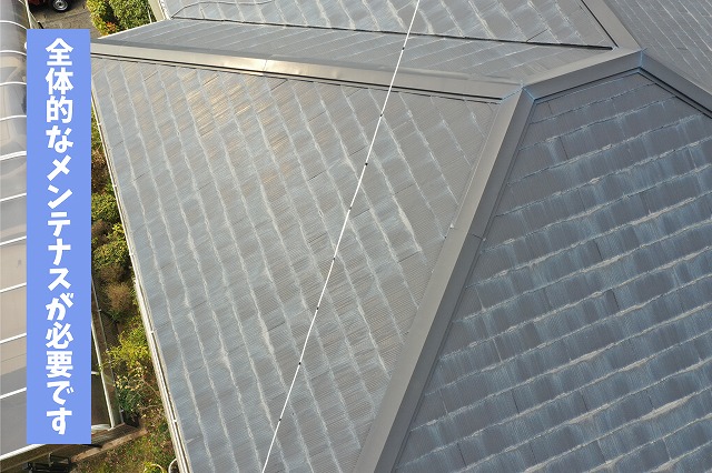 家全体の屋根に色あせや板金の劣化が見られる様子