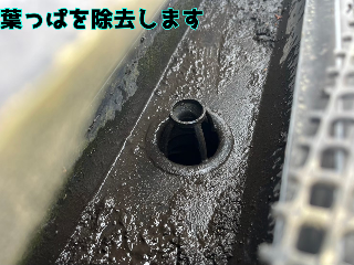 樋の掃除後の写真