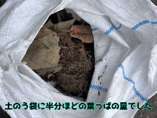 樋からでたゴミ