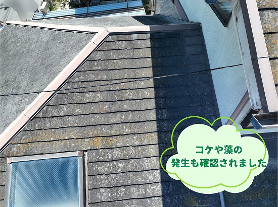 美濃加茂市のスレート屋根現地調査で確認したコケや藻の発生状況
