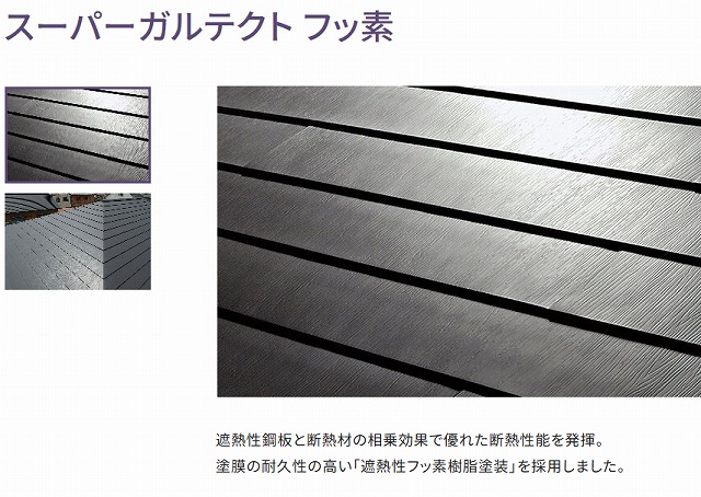 IG工業　スーパーガルテクト　フッ素