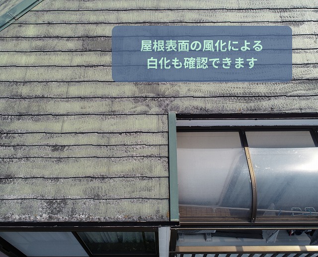 可児市にてスレート屋根の白化を確認している様子