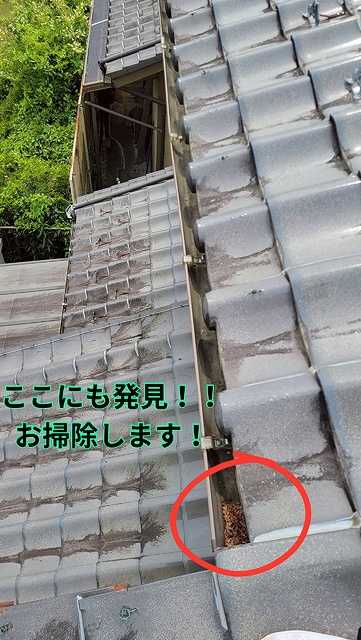 可児郡御嵩町 お家全体の雨樋を確認！少しの葉っぱも見逃さず！