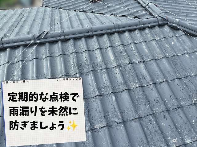 棟周辺を含む屋根全体の劣化状況を確認した様子
