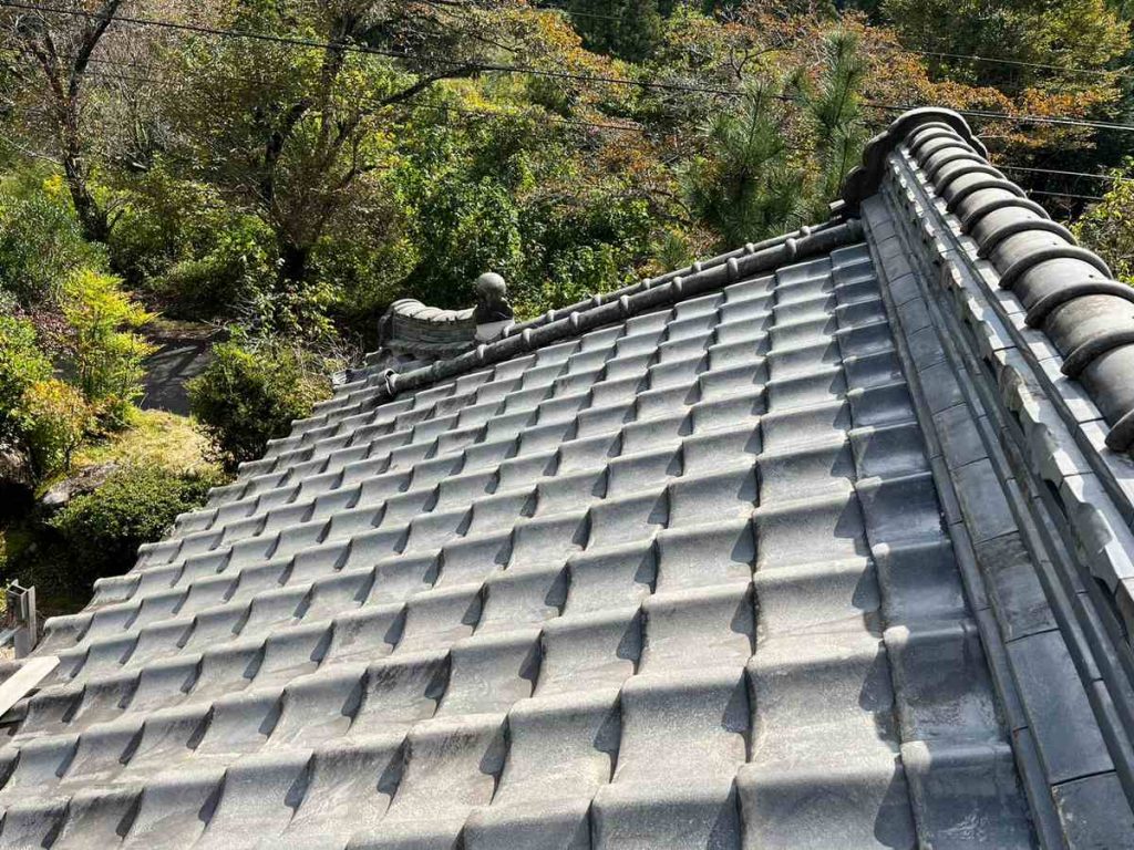屋根全体と棟の調査状況