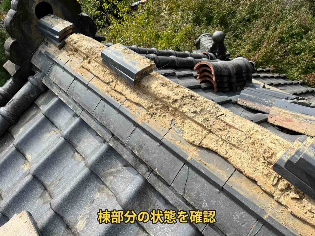 劣化した棟土の確認