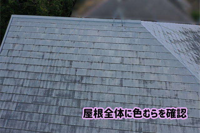 美濃加茂市のスレート屋根全体に広がる色むら