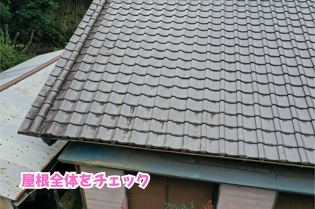 美濃加茂市の瓦屋根の全体と棟まわりを確認した様子