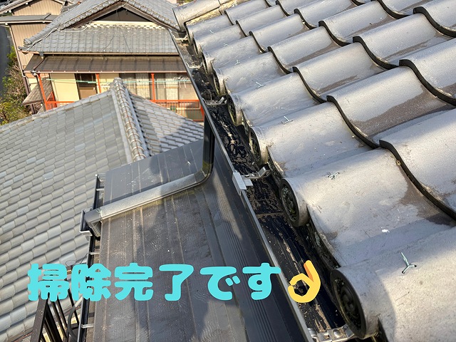 掃除をして樋がスッキリきれいに