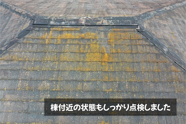 美濃加茂市のスレート屋根で棟付近のコケや藻を点検した様子